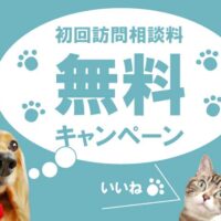 ペットケアサービスあおいろのそら・アイキャッチ