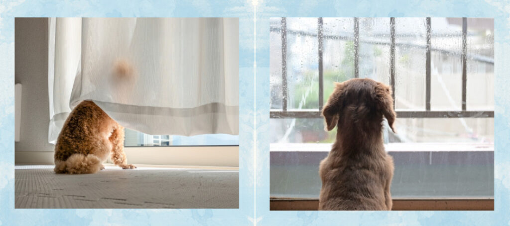 サービス・こんなお悩みはありませんか？