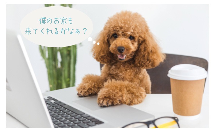 ペットケアサービスあおいろのそら・サービス提供エリア