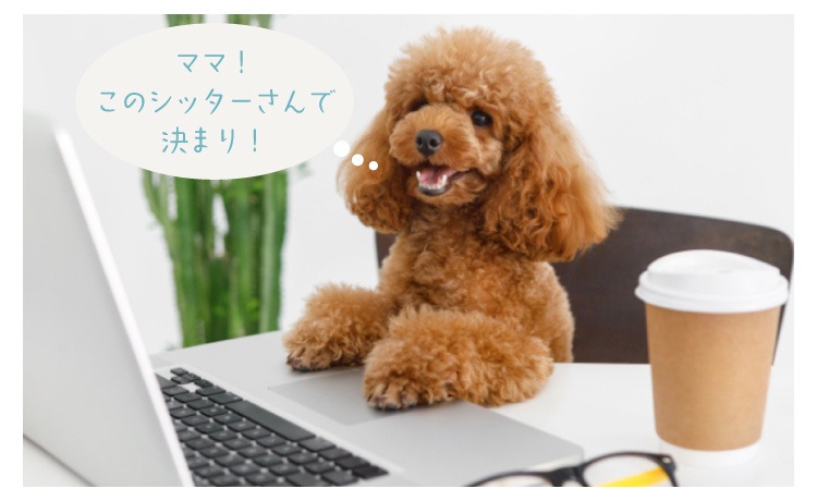 ペットケアサービスあおいろのそら・お問い合わせ方法