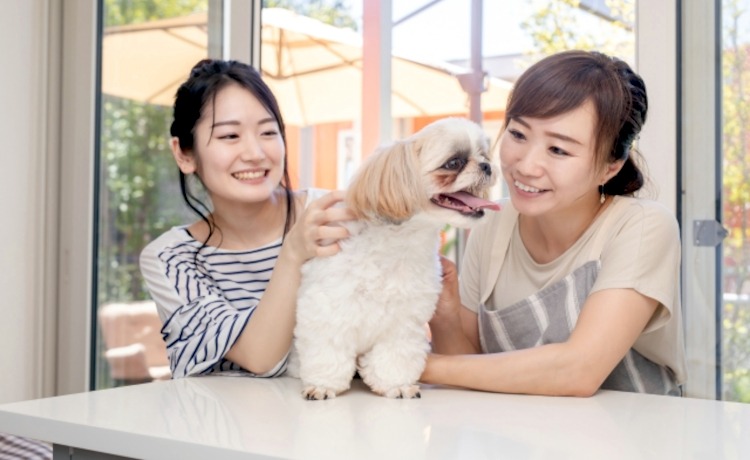不安を解消する一番のステップ！「事前打ち合わせ（カウンセリング）」の流れ