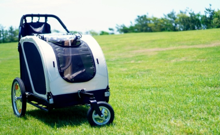 お散歩スタイルの決定：ハーネス vs 犬用車いす vs ペットカート
